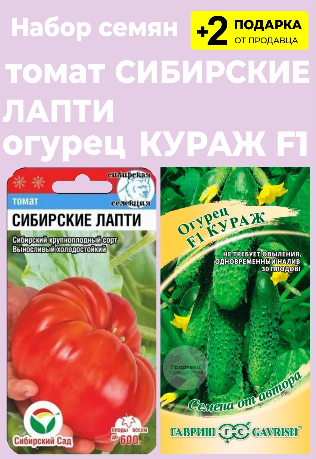 Картофель Лапоть Купить Семена