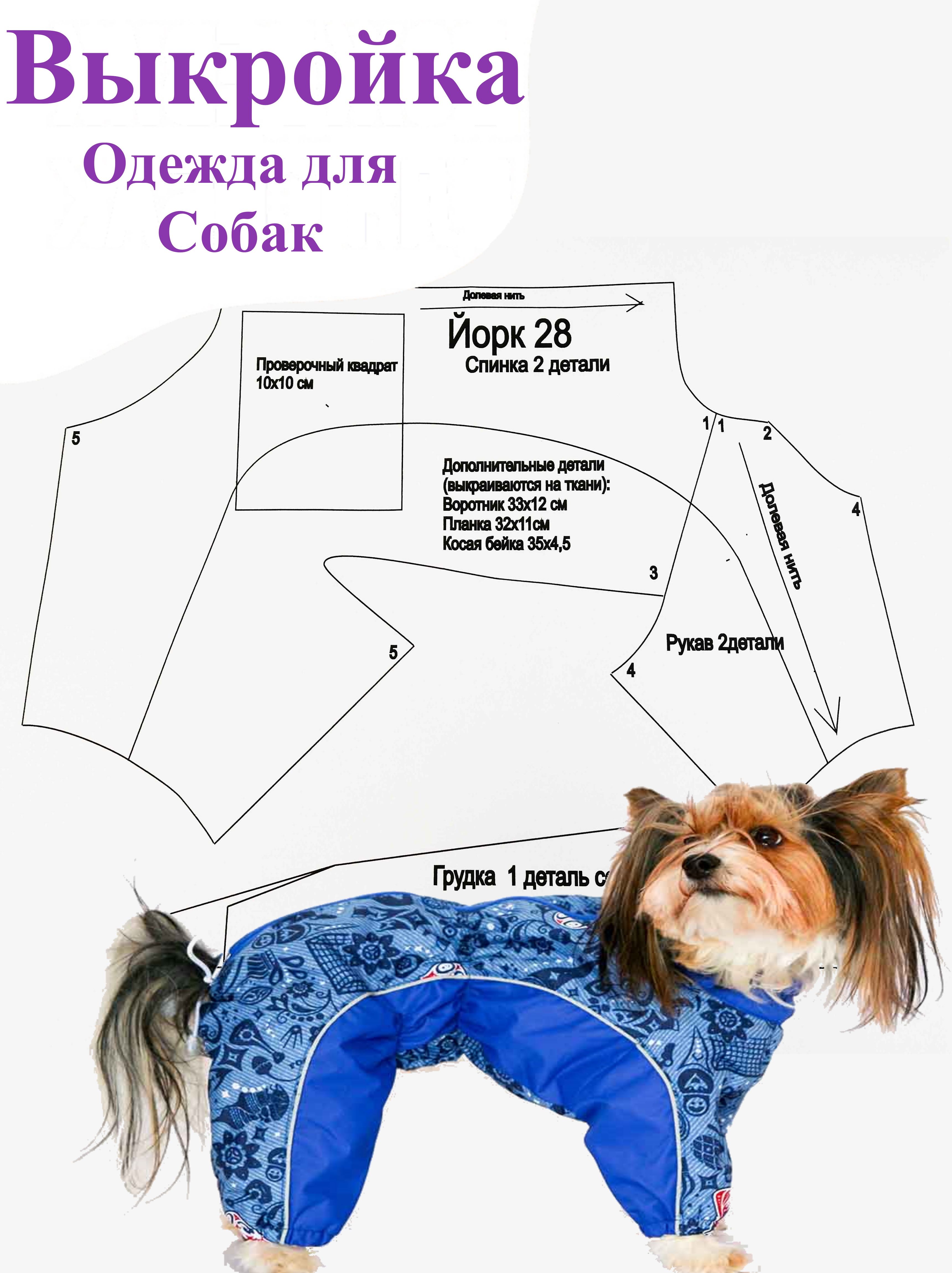 Одежда для собак, выкройки одежды для собак, как сшить комбинезон для собаки