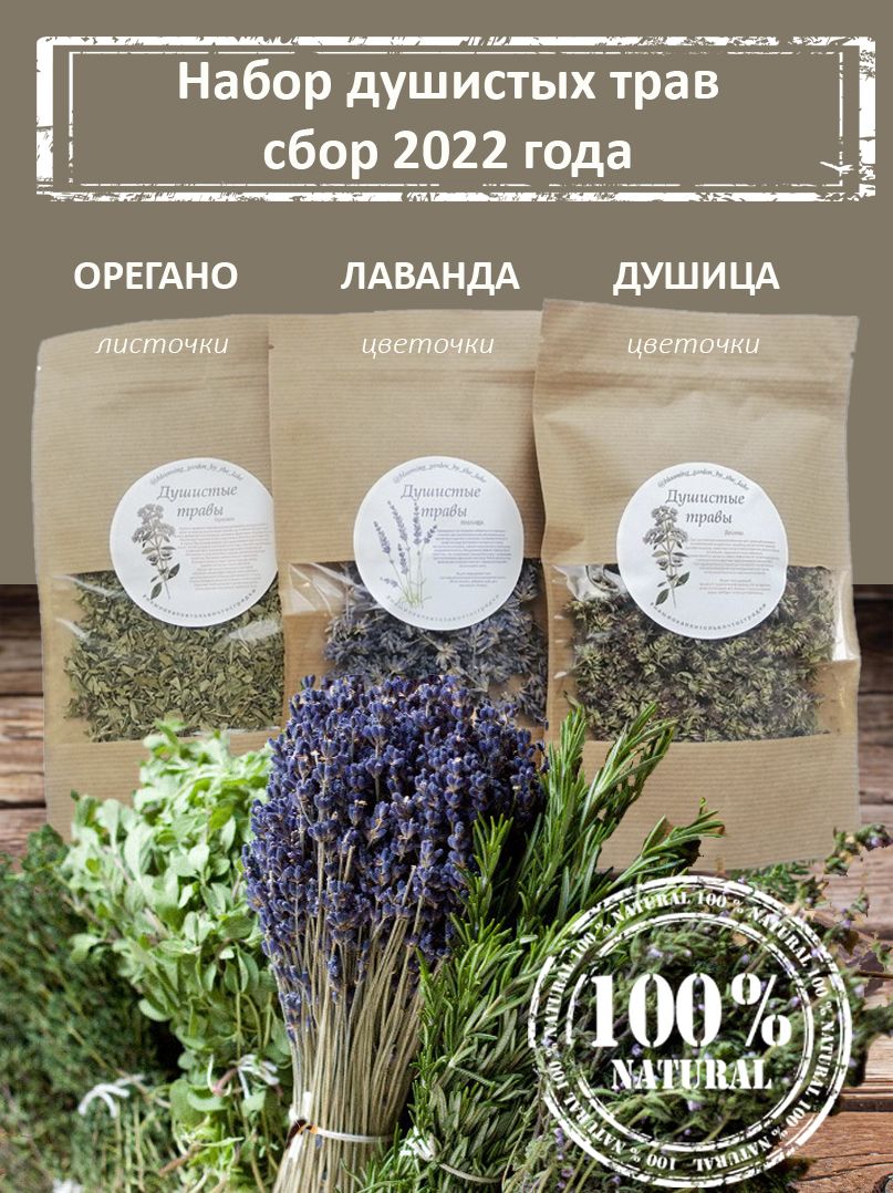Набор душистых трав, Орегано, Лаванда, Душица - купить с доставкой по  выгодным ценам в интернет-магазине OZON (784898045)