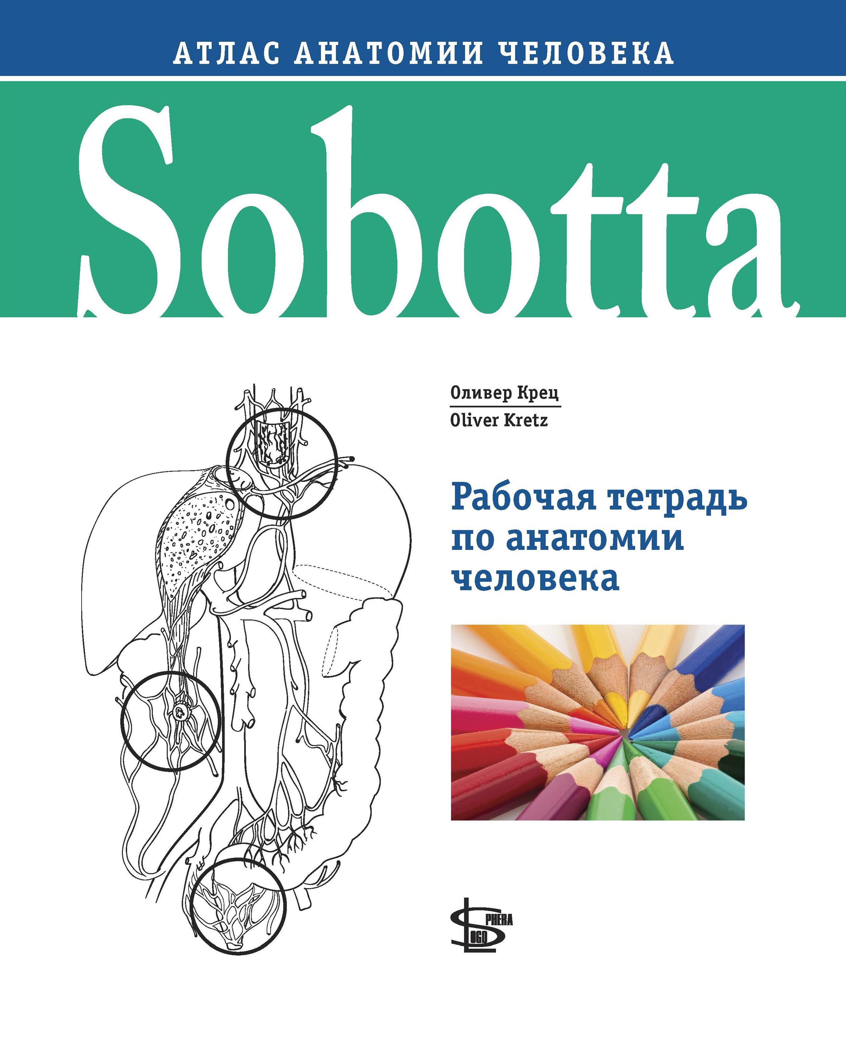 Sobotta. Рабочая тетрадь по анатомии человека - купить с доставкой по  выгодным ценам в интернет-магазине OZON (787688910)