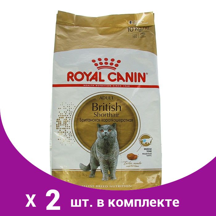 сухой корм для британцев. сухой корм для британцев. роял канин для кошек британцев. корма для котят британцев. роял канин британская короткошерстная 2 кг.