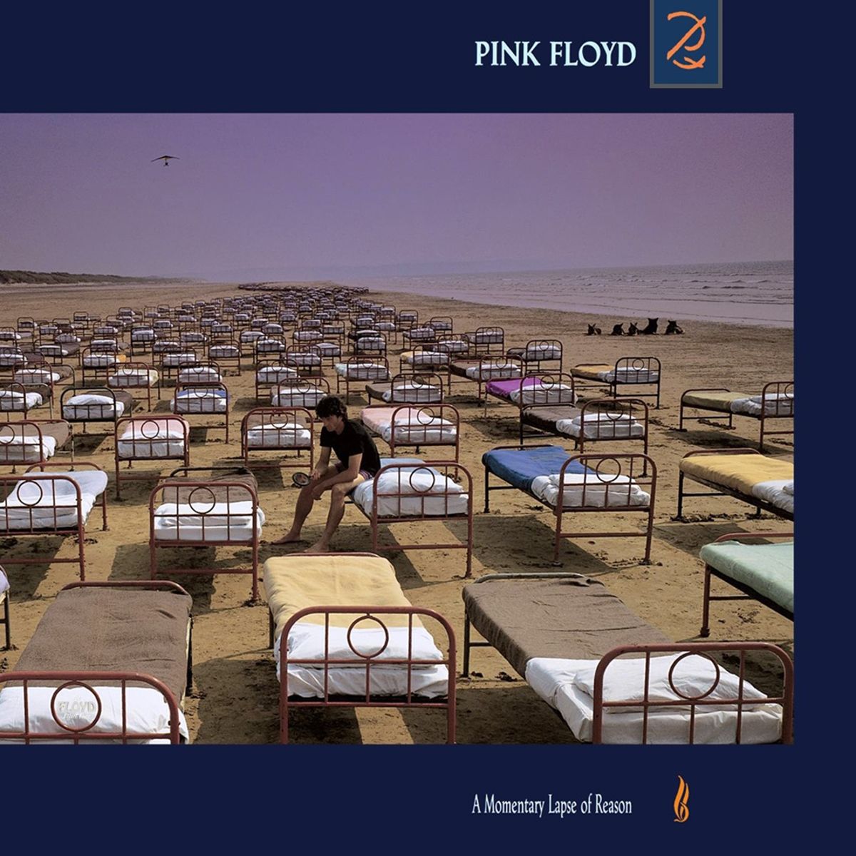 Виниловая пластинка Pink Floyd - A Momentary Lapse Of Reason LP