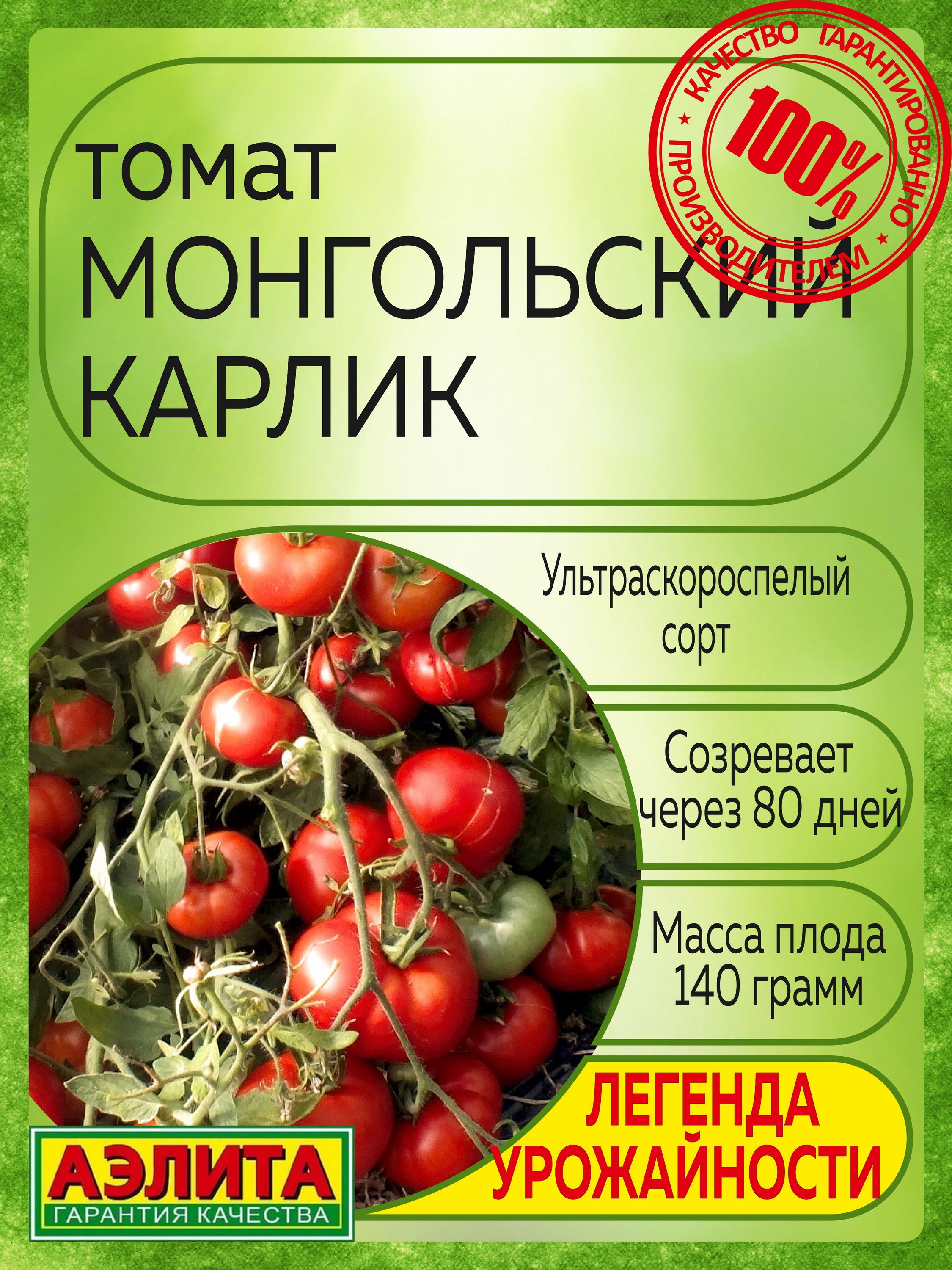 Сорт томатов саня. Томат Мальва. Монгольский карлик помидоры. Томат Саня. Сорт помидор Саня.