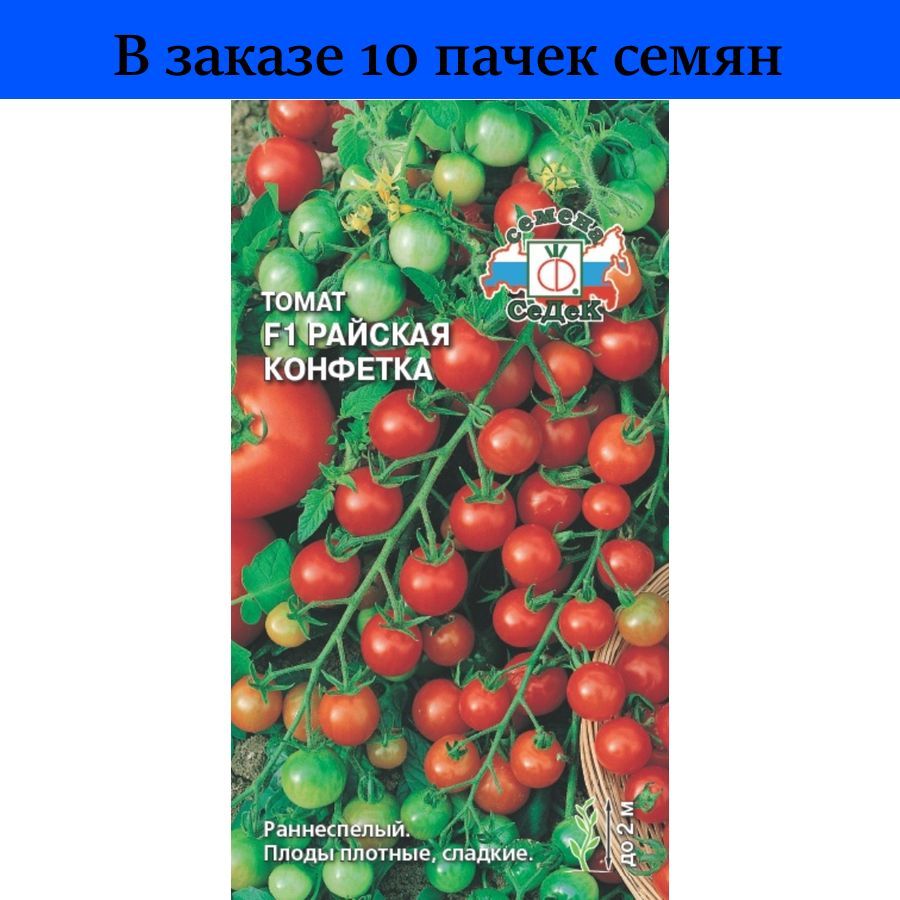 томат седек отзывы фото урожайность