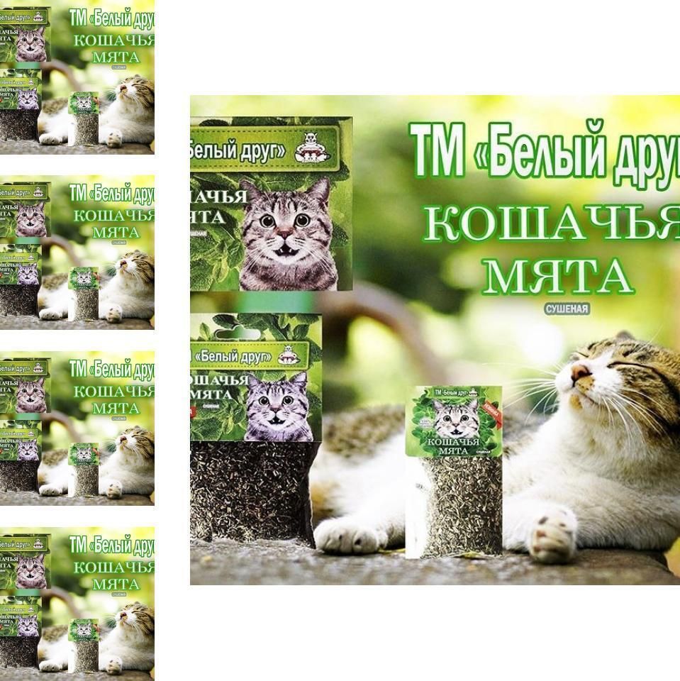 кошачья мята, 10 г. Gosi кошачья мята gosi 35мл. ). кошачья мята 15 гр. кошачья мята сухая.