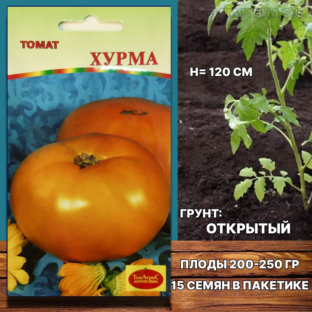 Томаты кумир описание. Томат кумир. Томат хурма. Томат кумир характеристика.