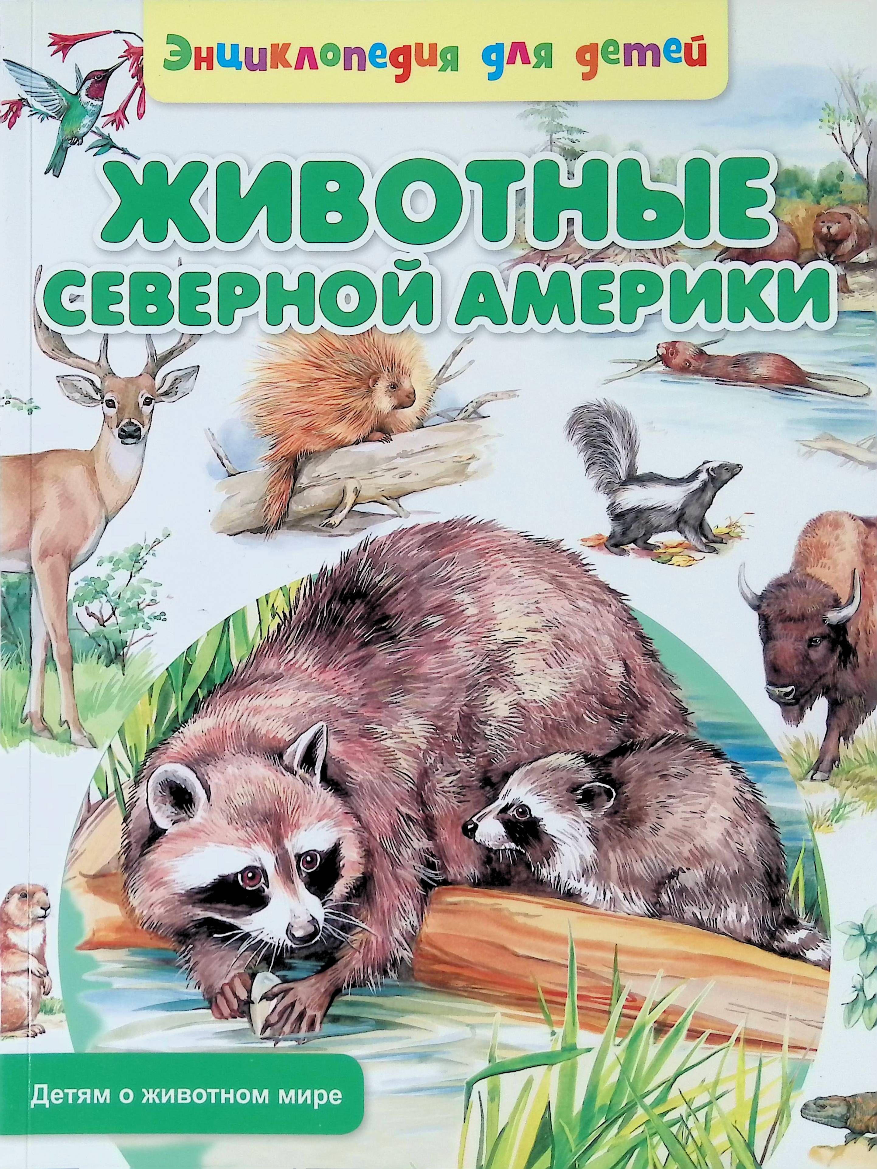 Животные северной америки. Энциклопедия для детей животные Северной Америки. Книга животные. Жичотныесеверной Америки. Животные Север Америкми.