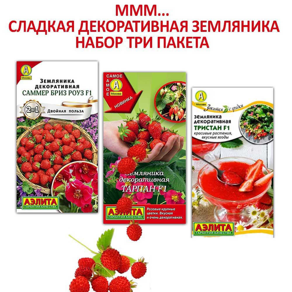 Саженцы Земляники Купить В Интернет
