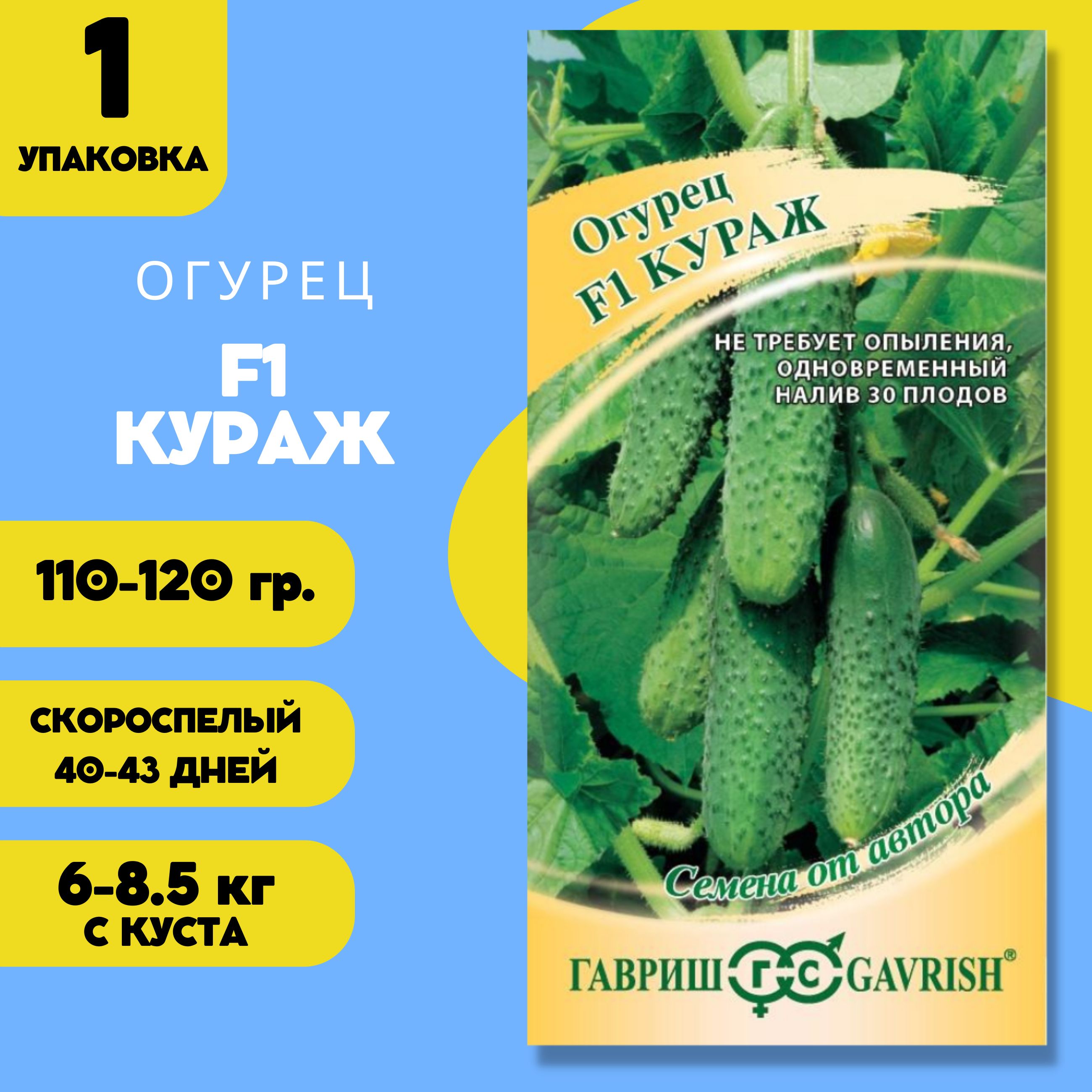 Кураж огурцы отзывы для открытого. Семена огурец Кураж f1. Огурец Кураж Гавриш. Семена огурцов Кураж. Огурцы в упаковке.