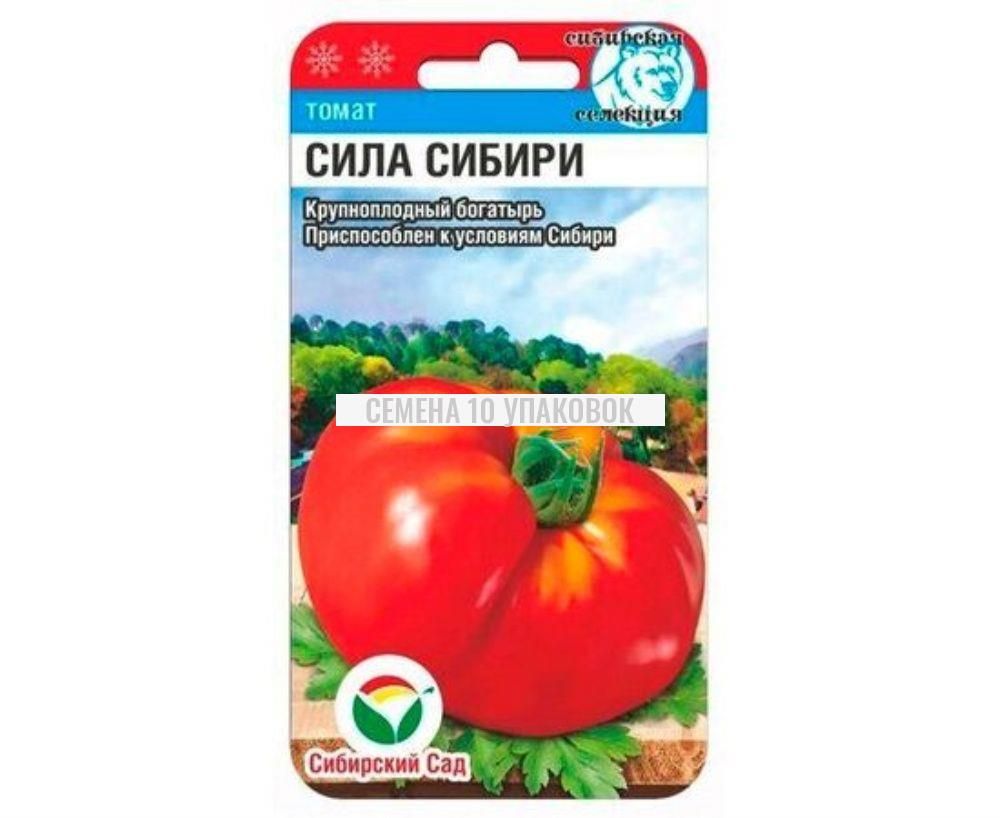Сила сиб. Сила сиб