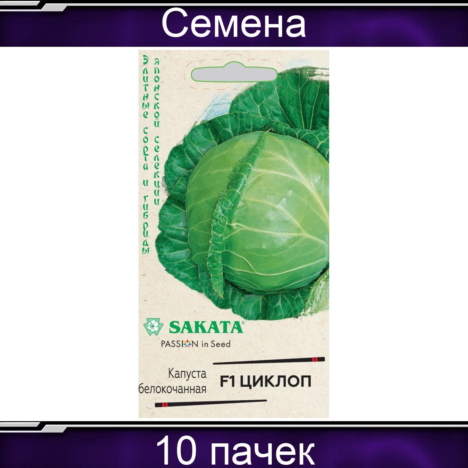 Капуста циклоп описание сорта. Капуста циклоп. крюмон капуста описание. описание циклопа. капуста циклоп описание сорта фото отзывы садоводов.