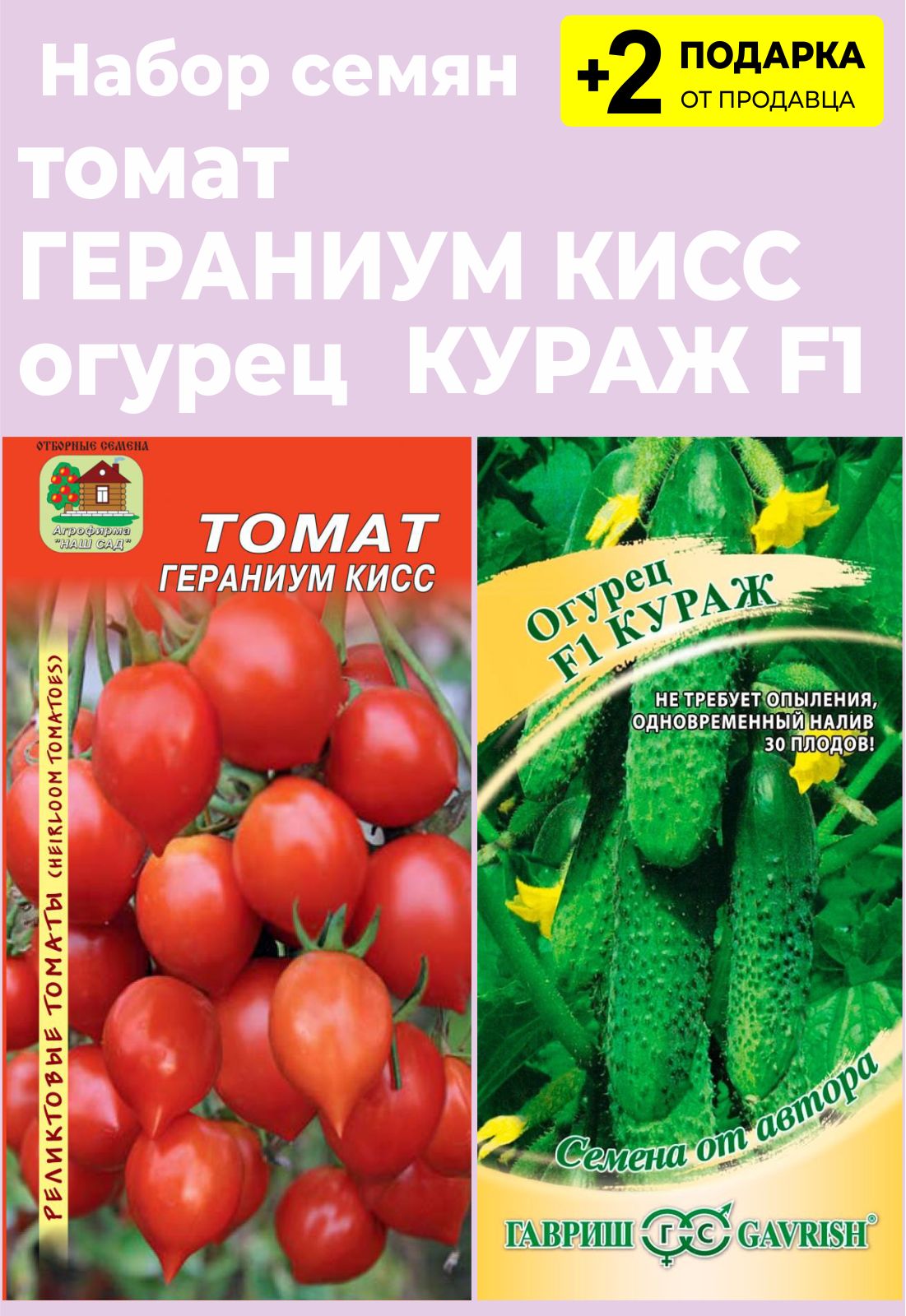 Томат Кураж F1 Отзывы Фото Урожайность