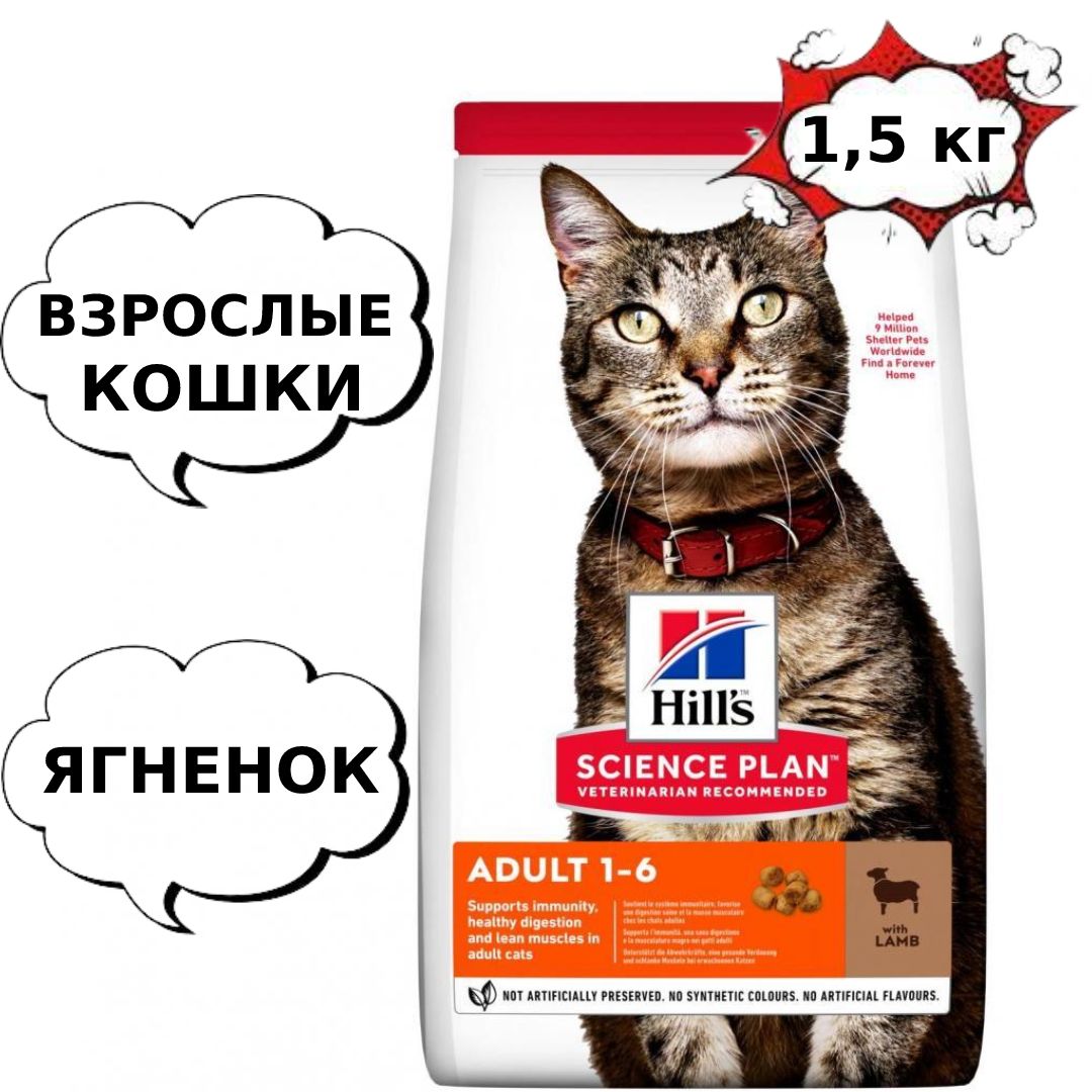 Корм для кошек хиллс ягненок