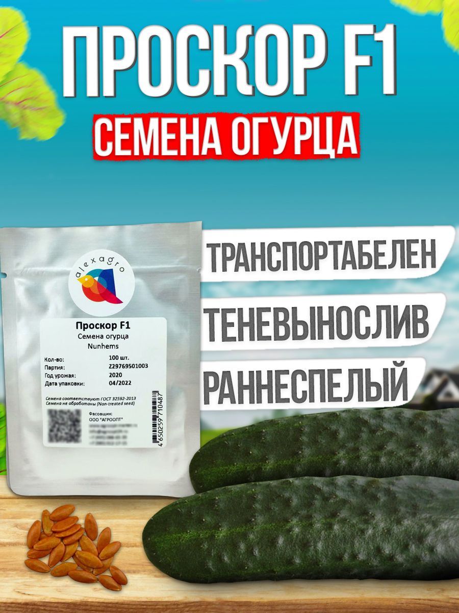 Огурцы Сатина Отзывы Фото