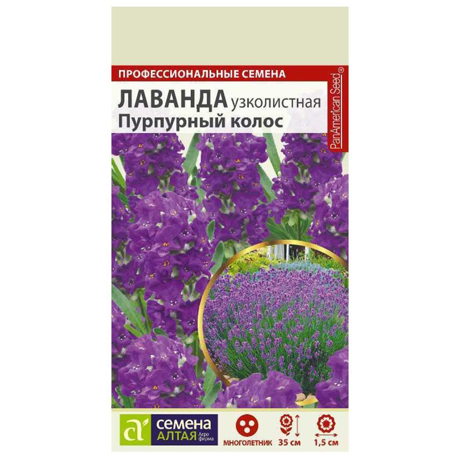 Лаванда английская семена