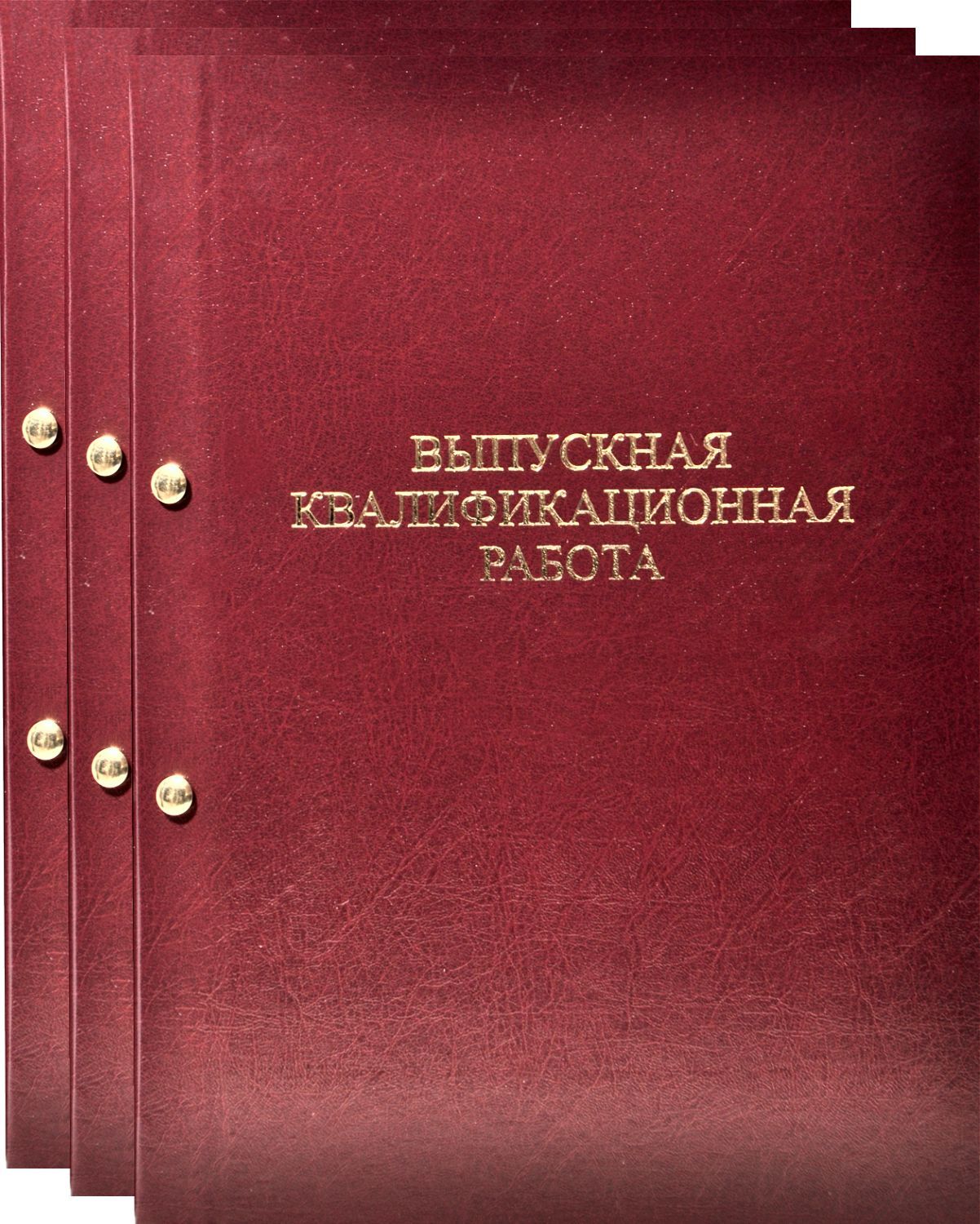 Папка для Выпускной квалификационной работы с конвертом для CD. Переплет на  винты. 3шт - купить с доставкой по выгодным ценам в интернет-магазине OZON  (889750731)