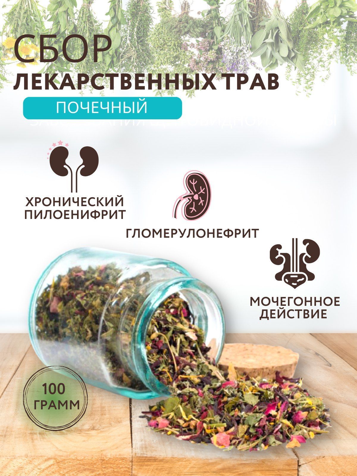 Болят почки травы. Травы для почек. от почек на травах. капсулы для почек на травах название. травы для почек но не мочегонные.
