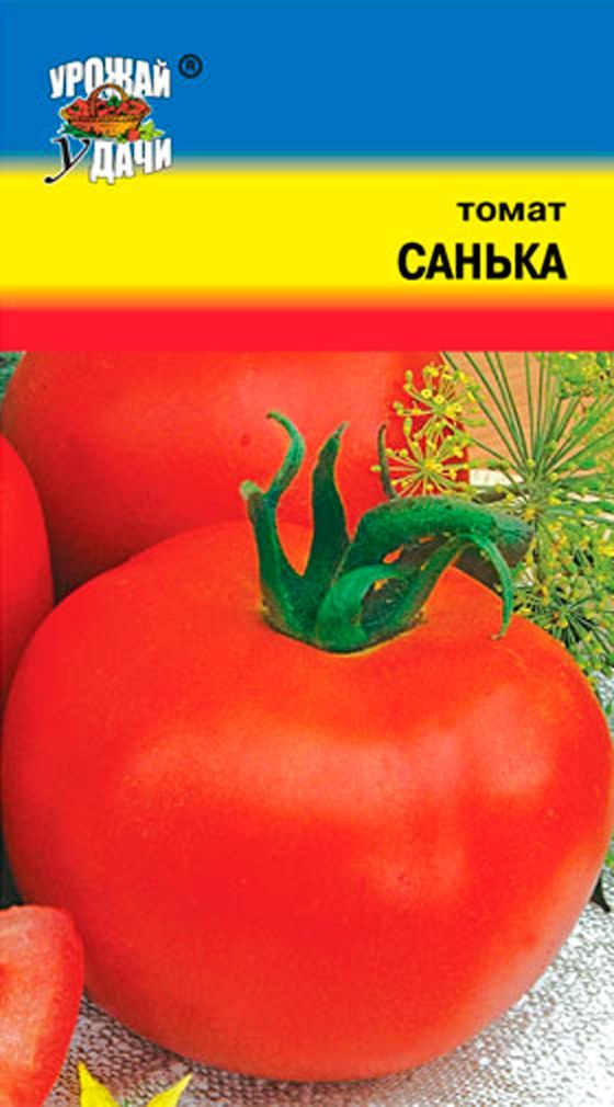 Сорт Санька Фото