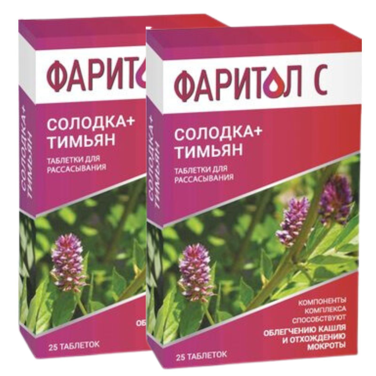 Солодка тимьян. Солодка тимьян
