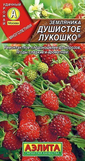 семена Земляники круглогодичной для балкона, подоконника и открытого грунта, 0.04 гр.