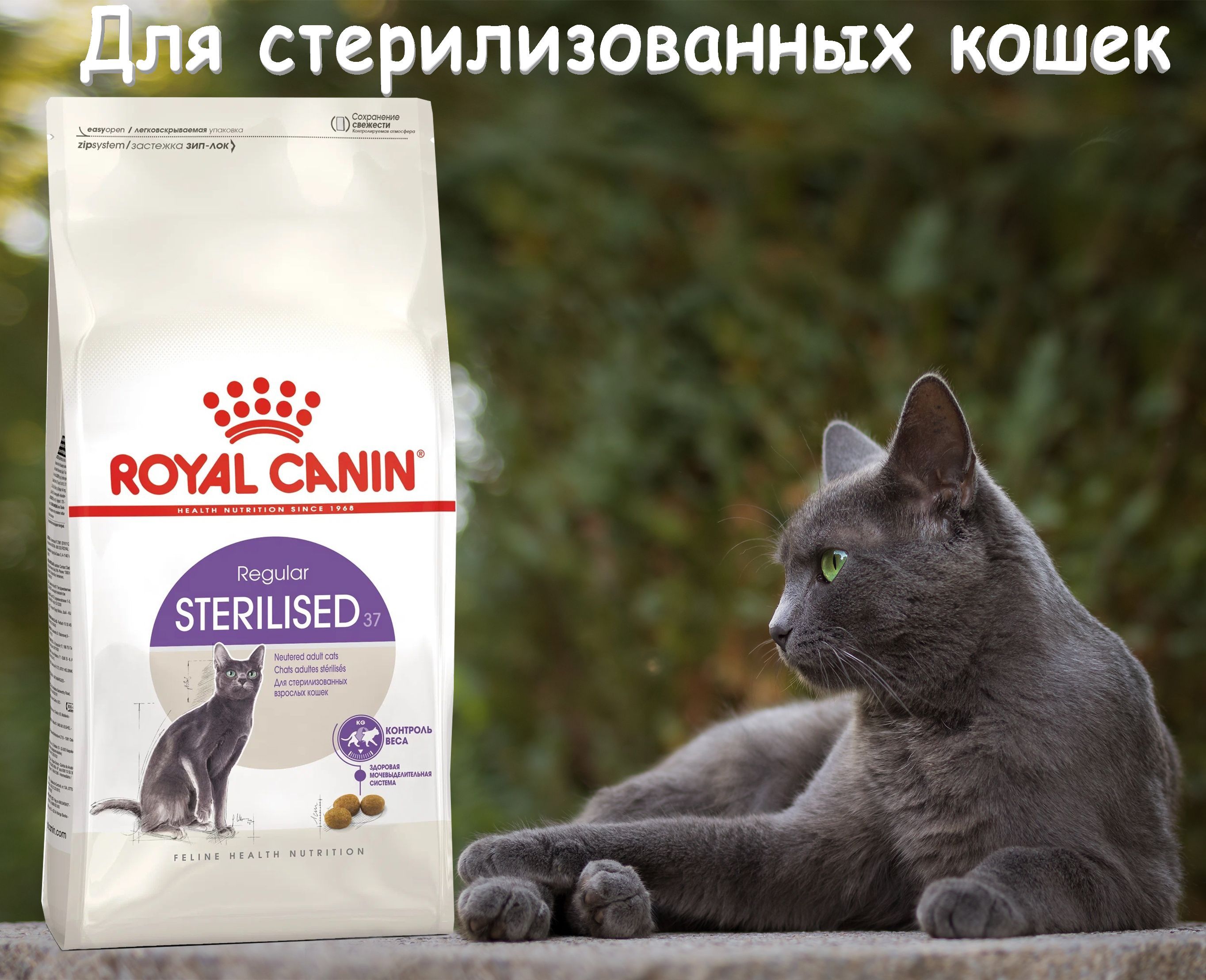 Royal canin для кошек sterilised 37. Royal Canin Sterilised 37.