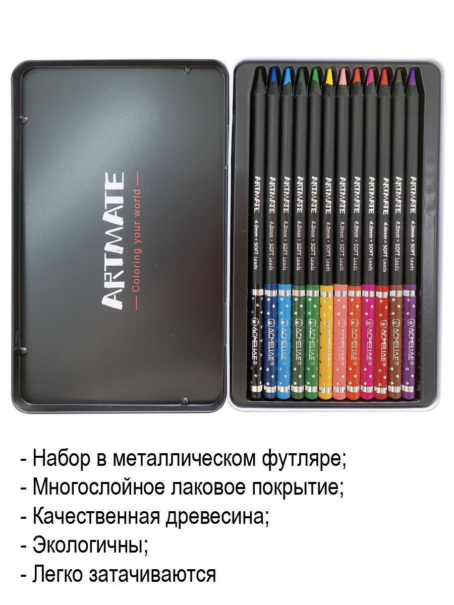 Набор цветных карандашей ACMELIAE Blackwood Artmate 12 цветов, в металлическом футляре