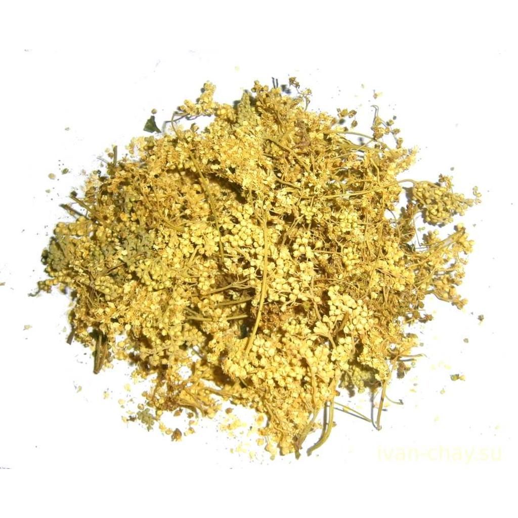 Белоголовник полынь. Таволга трава. Ферментация таволги. Как сушить таволгу. Таволга лабазник чай.