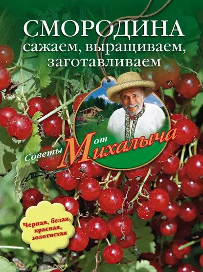 Смородина. Сажаем, выращиваем, заготавливаем | Звонарев Николай Михайлович | Электронная книга