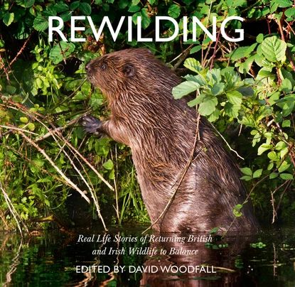 Rewilding | Woodfall David | Электронная книга