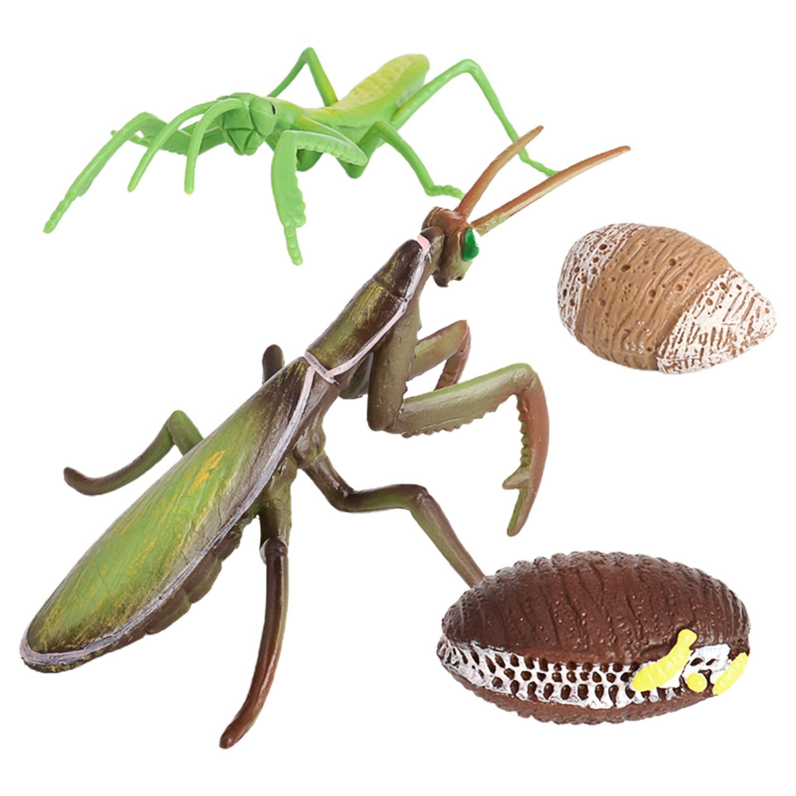 Пластиковая цветная игрушка насекомое. Насекомые игрушки на пульте управления. Силиконовая саранча игрушка. Фигурка бабочка. Имитация насекомых.