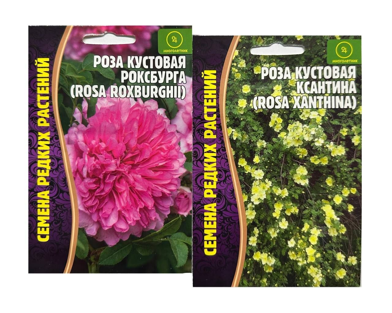 Семена Роз Купить Многолетние