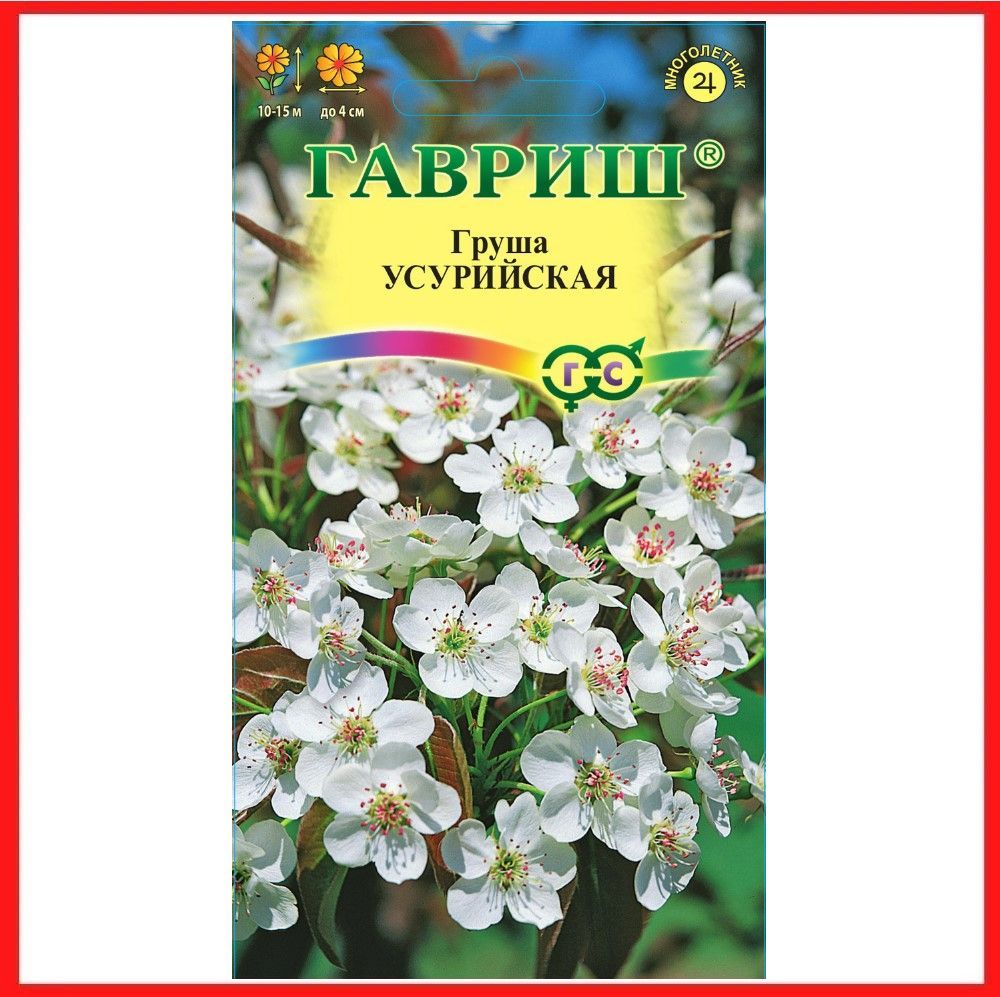 Семена Груши Уссурийской Купить