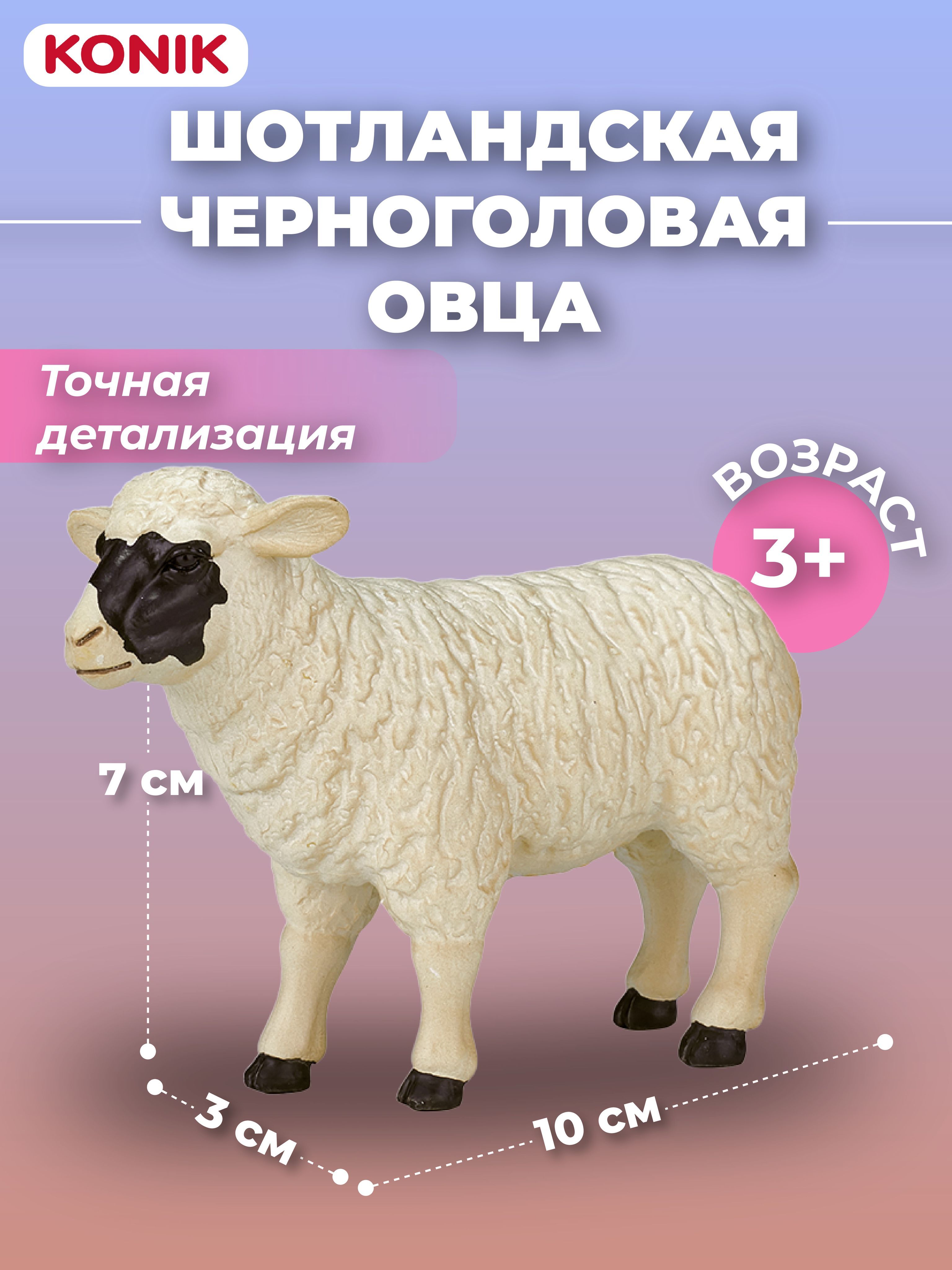 Фигурка-игрушка Шотландская черноголовая овца, AMF1019, KONIK