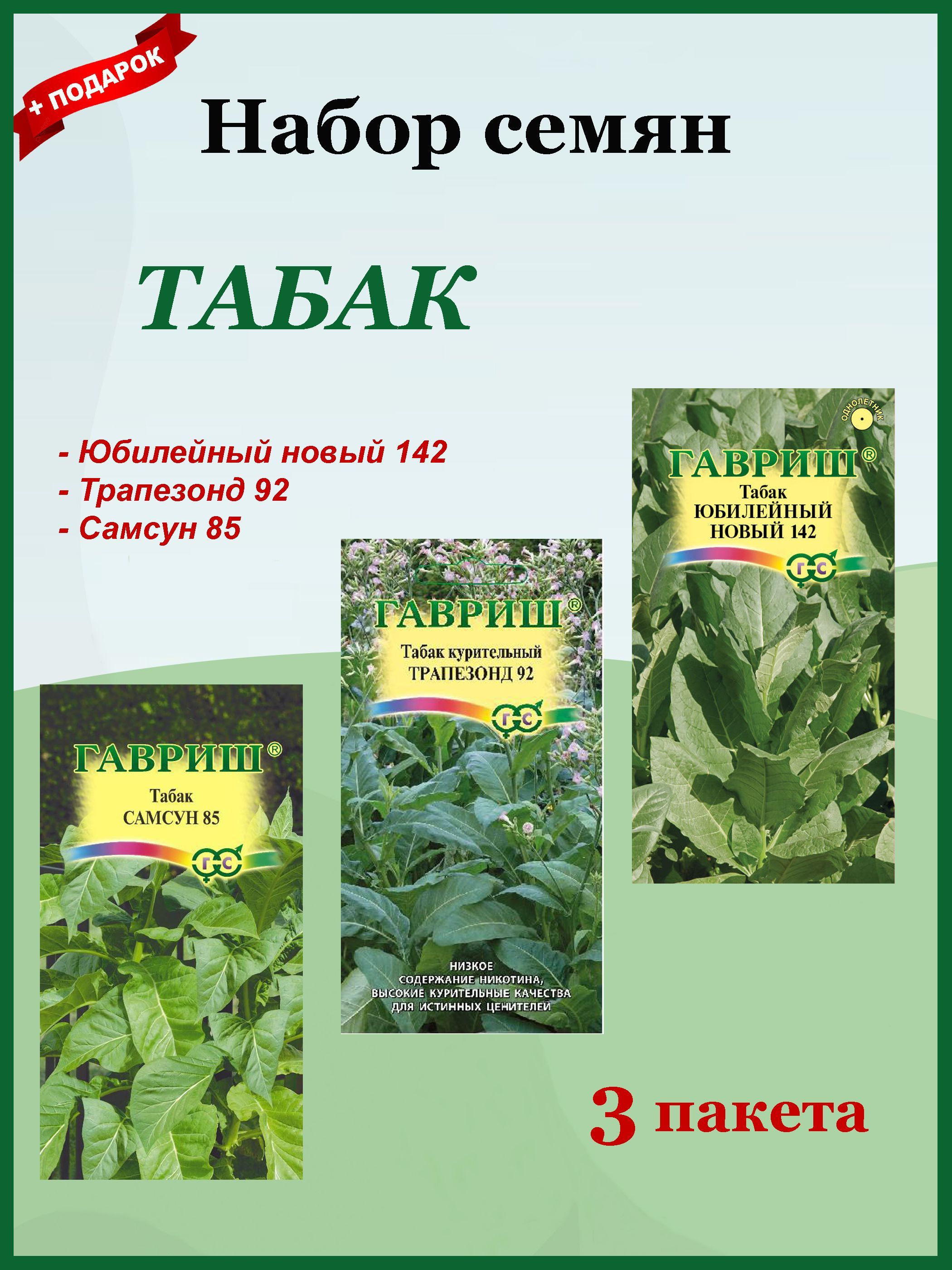 Семена Табак 3 шт. Набор №1 (Гавриш) Самсун 85, Трапезонд 92, Юбилейный новый 142 image