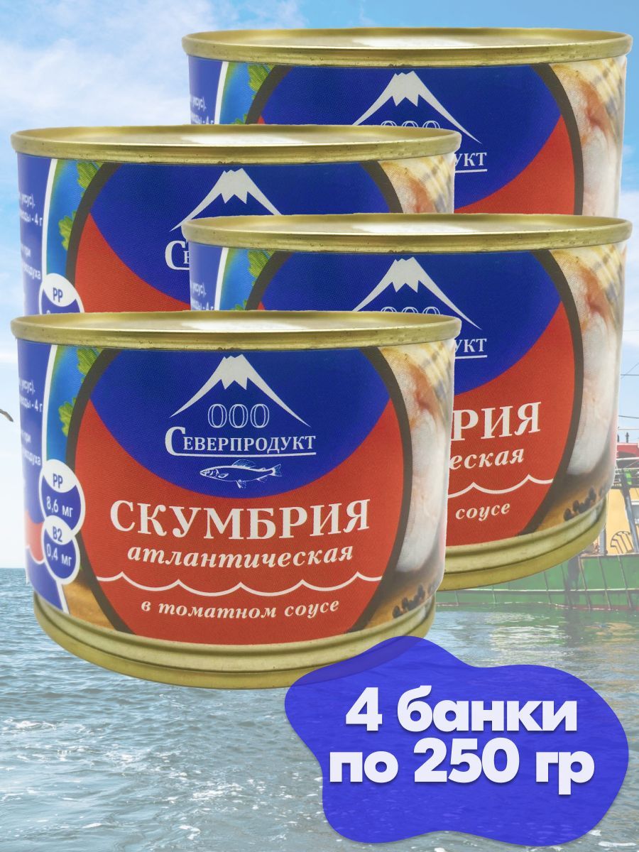 Скумбрия атлантическая в томатном соусе Северпродукт ГОСТ 250 г - 4 банки -  купить с доставкой по выгодным ценам в интернет-магазине OZON (1171229598)