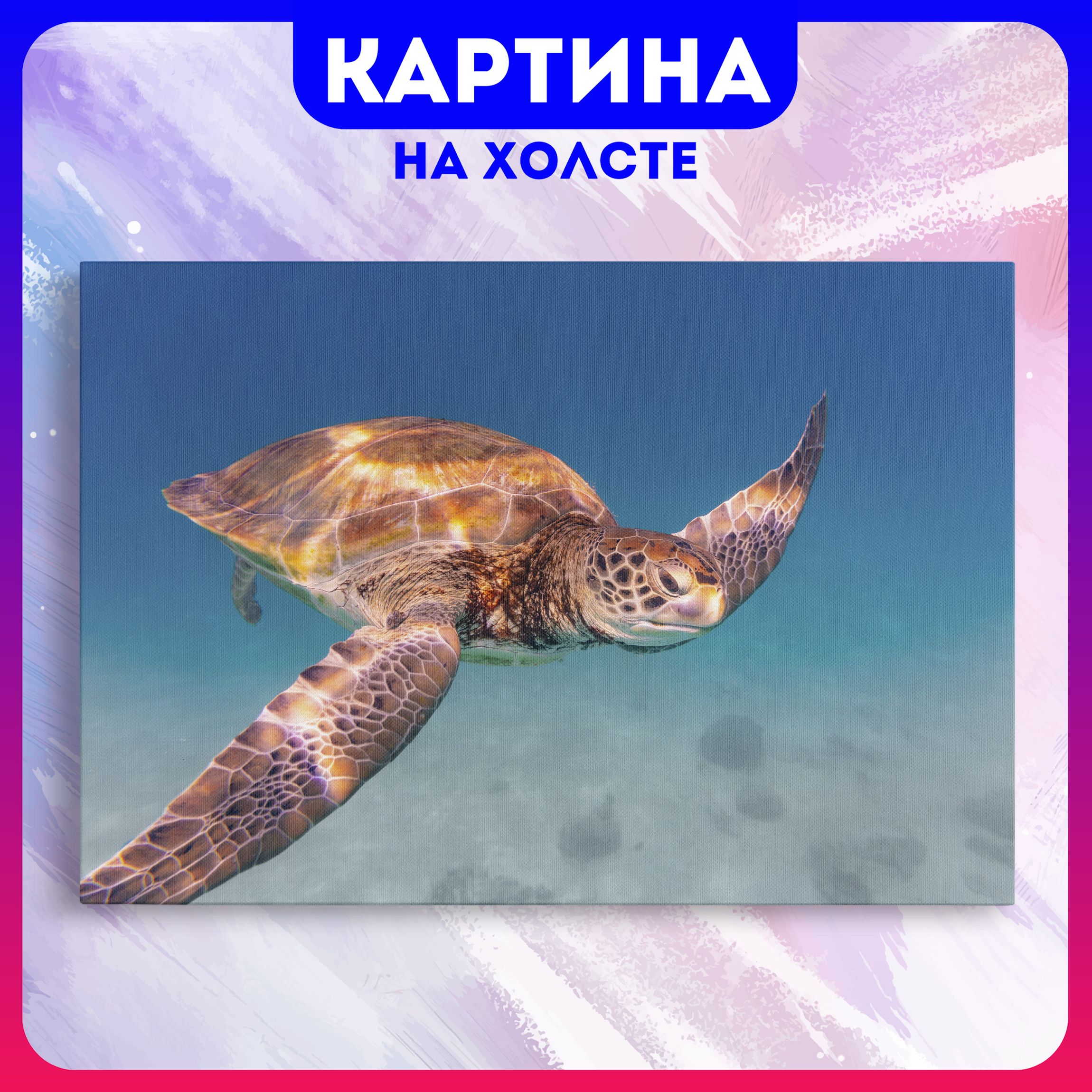 Картина на холсте Черепаха природа животные океана (9) 40х60 см - купить по  низкой цене в интернет-магазине OZON (1181047064)