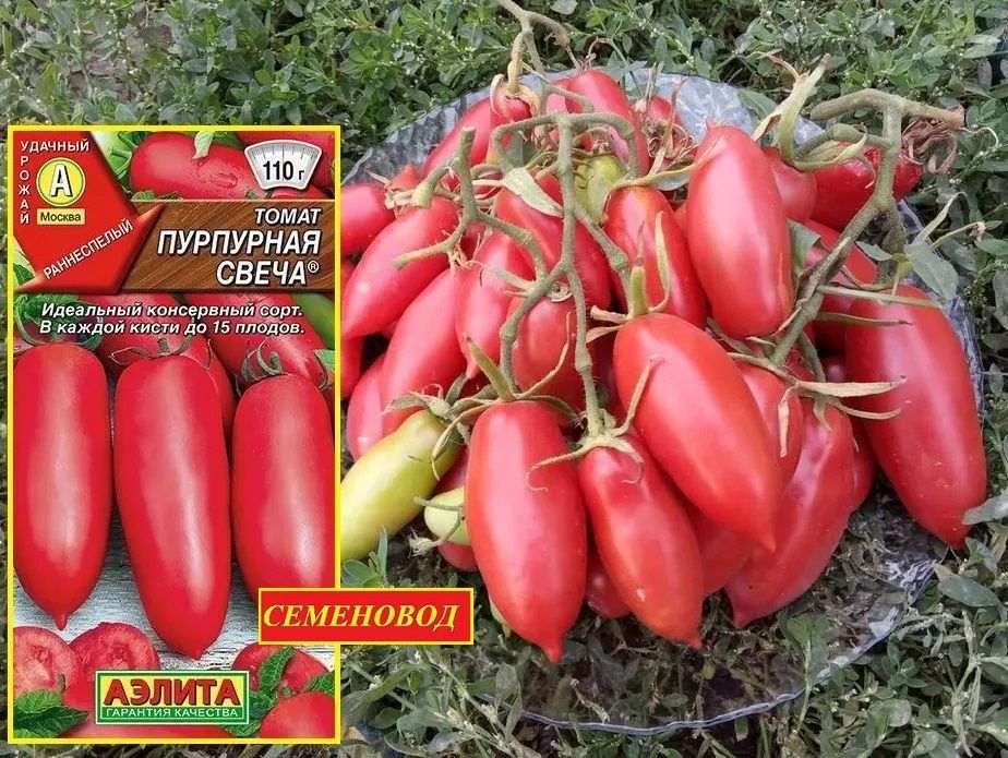 Сорт Томатов Алые Свечи Отзывы Фото