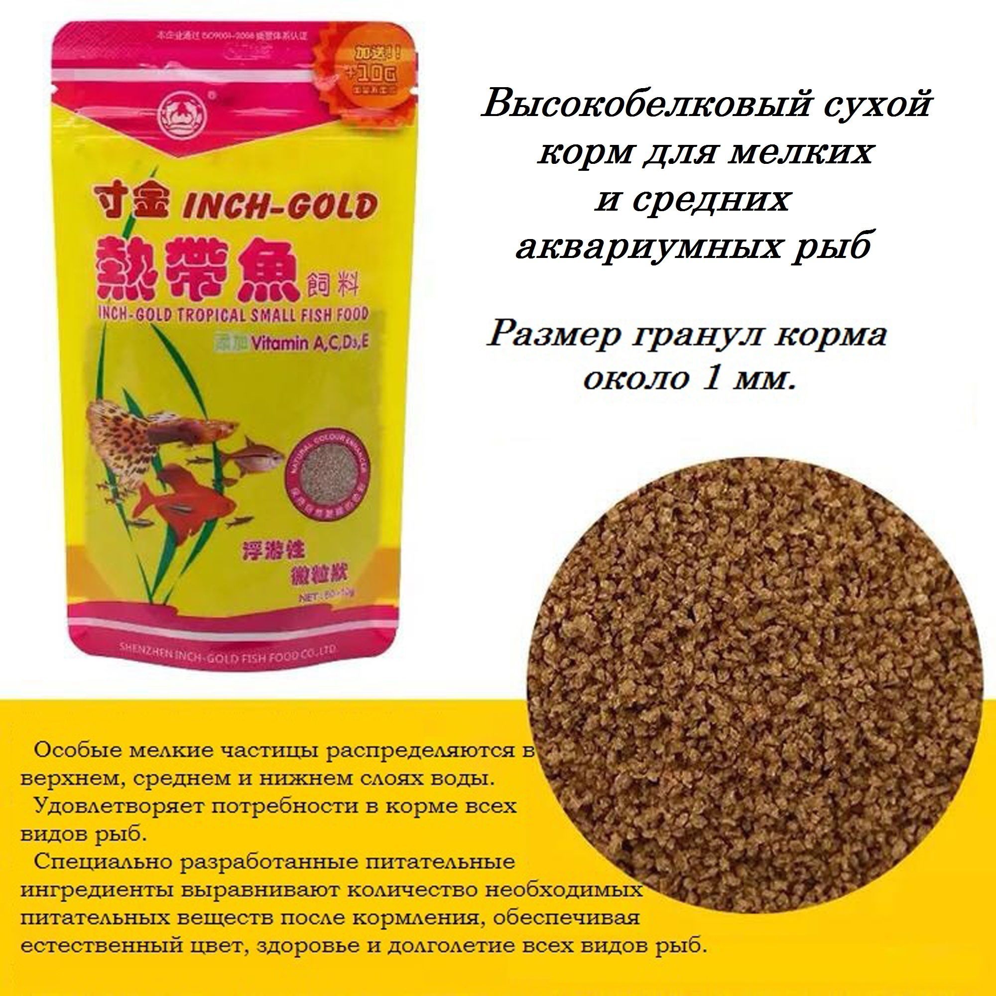 Inch gold tropical small fish outlet food