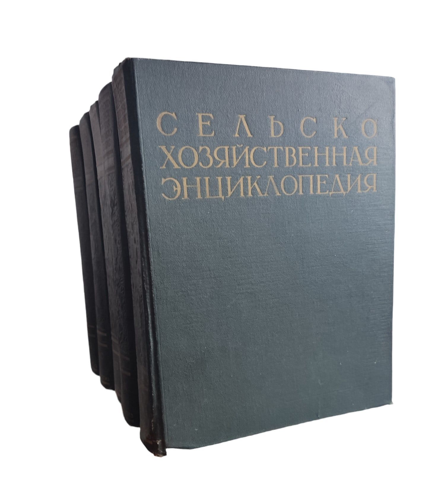 Сельскохозяйственная энциклопедия в 5 томах (комплект из 5 книг) 1949-1956  - купить с доставкой по выгодным ценам в интернет-магазине OZON (1208688803)