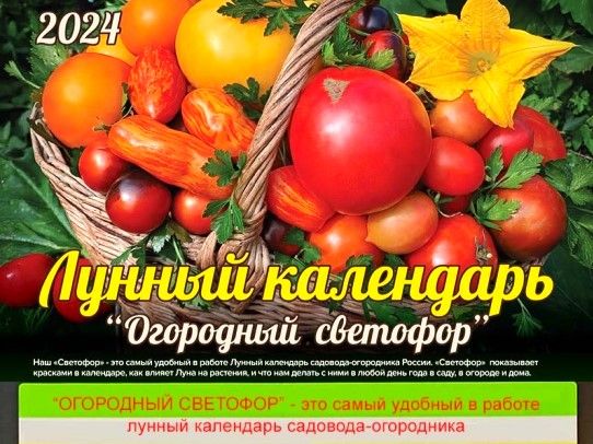 Лунный календарь огородный светофор на 2025 pdf