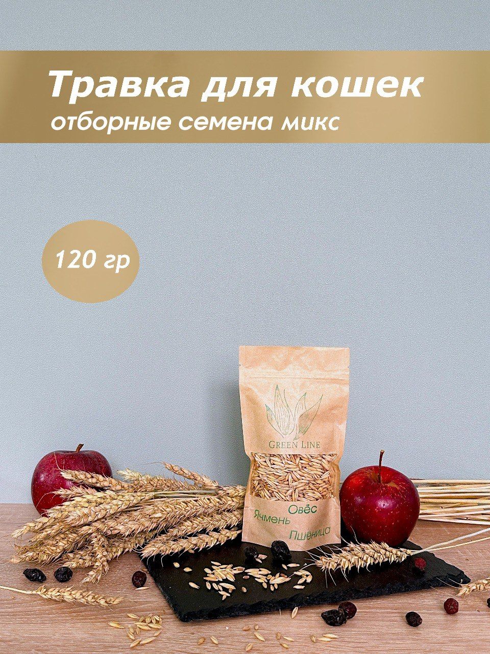 Трава для кошек, лакомство для кошек, добавка в корм, вкусняшки, для  проращивания - купить с доставкой по выгодным ценам в интернет-магазине  OZON (1222465346)