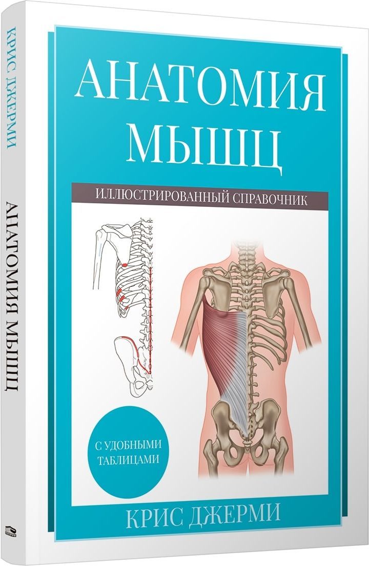 Анатомия мышц: иллюстрированный справочник | Джерми Крис