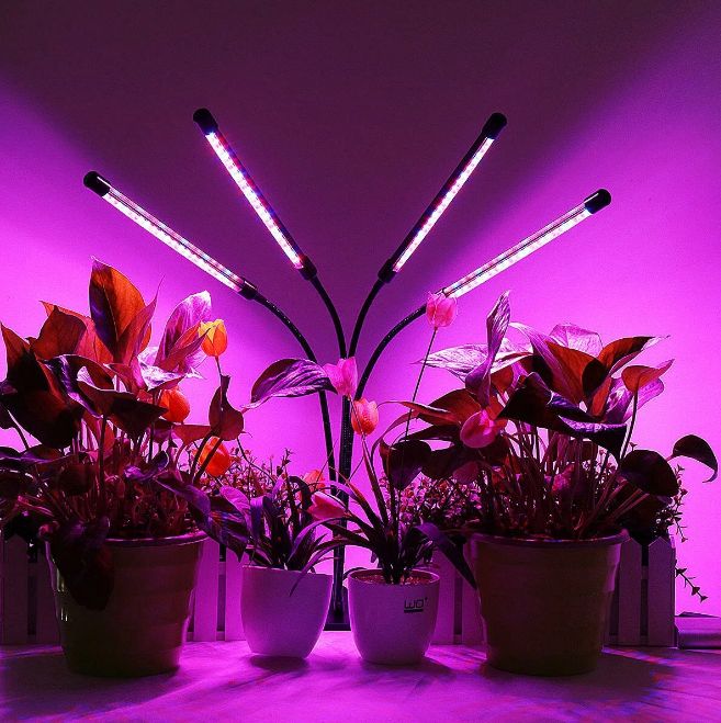 Фитолампа полного спектра для растений и рассады. Фитолампа led grow Light. Фитолампа для цветов 20w Эра. Фитолампа 3 Light. Фитолампа 4 лампы.