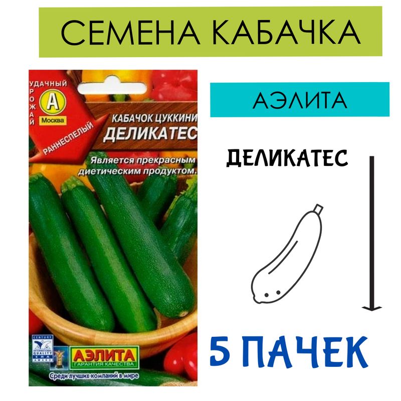 Кабачок Деликатесный Семена Купить