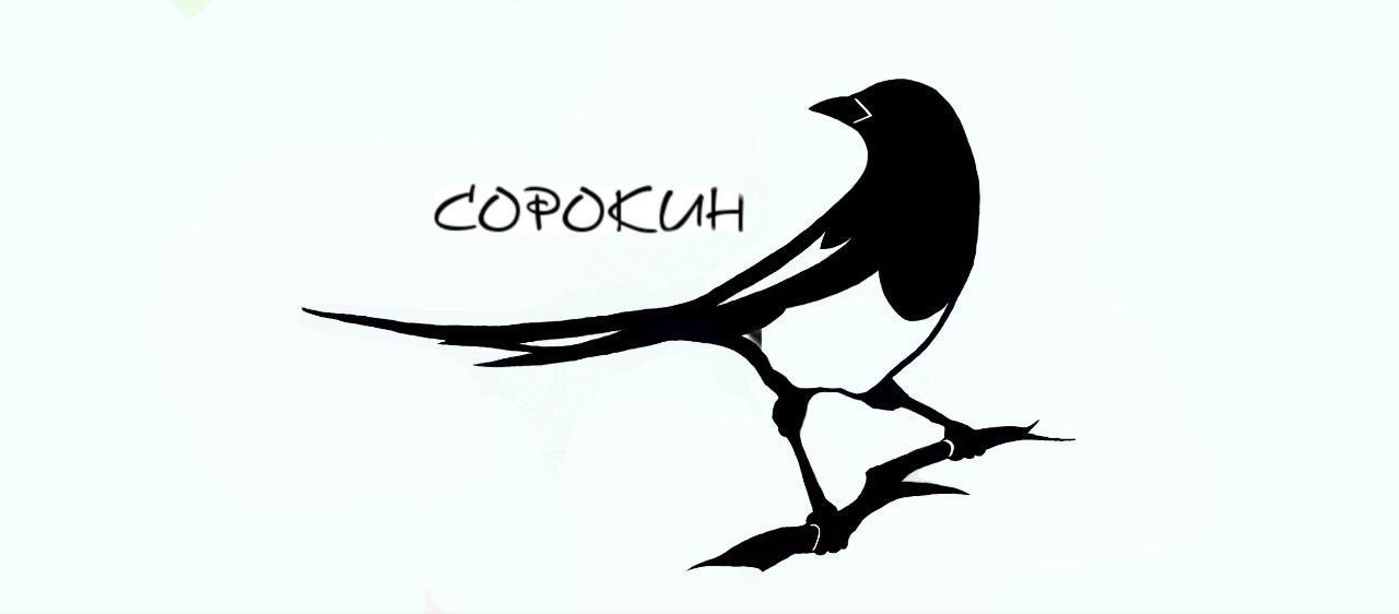 Сорокин.А.А. — купить товары Сорокин.А.А. в интернет-магазине OZON