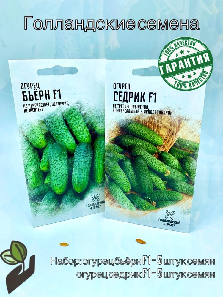 производители семян овощей. голландские семена. голландская редиска семена. семена из голландии. голландские семена фирмы.