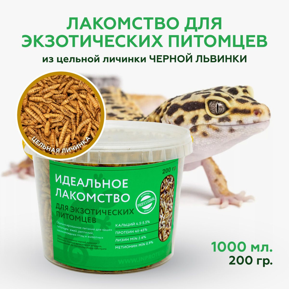 INPROTEIN, Черная львинка - лакомство для экзотических питомцев, рептилий и черепах  #1