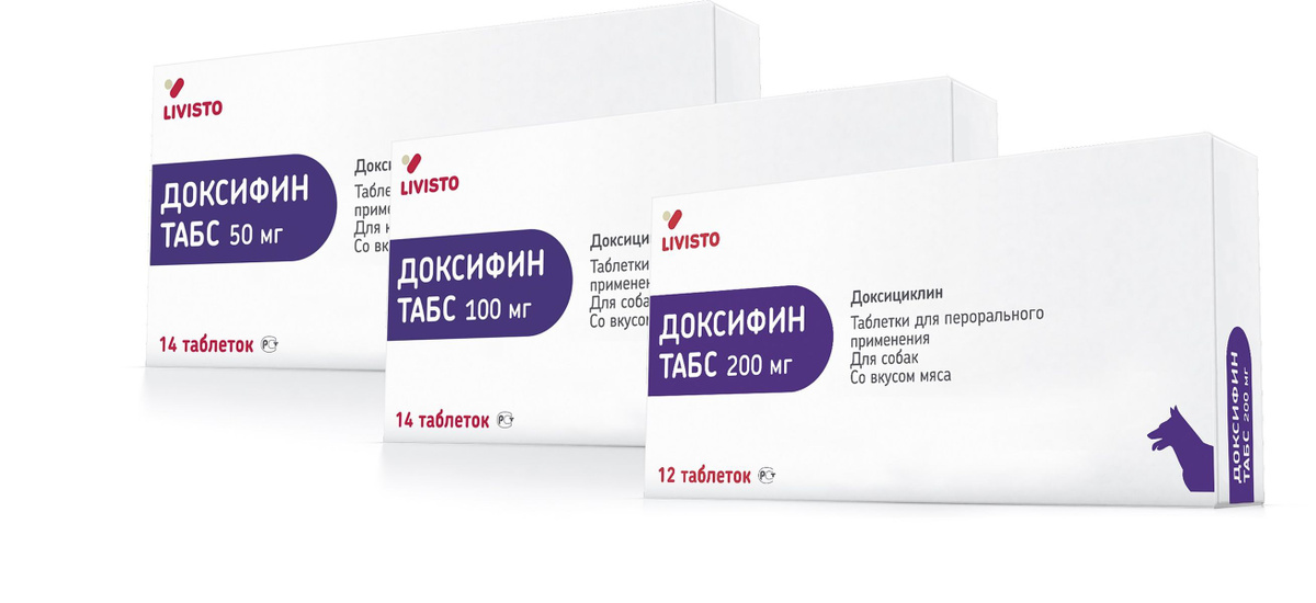 Доксифин табс 100 мг 14 таблеток — купить в интернет-магазине OZON с ...