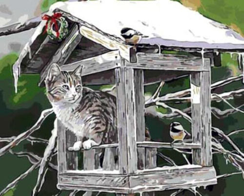 Птички для кошки