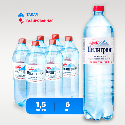 Пилигрим газированная